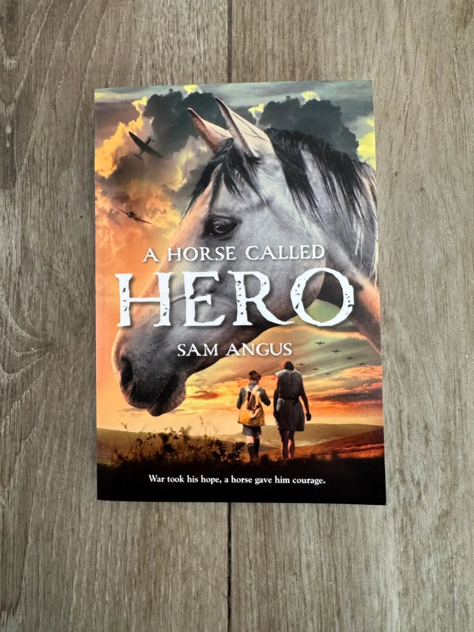 A Horse Called Hero - Bridle Up Hope Shop