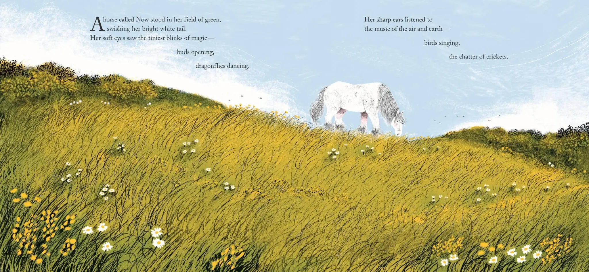 A Horse Called Now - Bridle Up Hope Shop