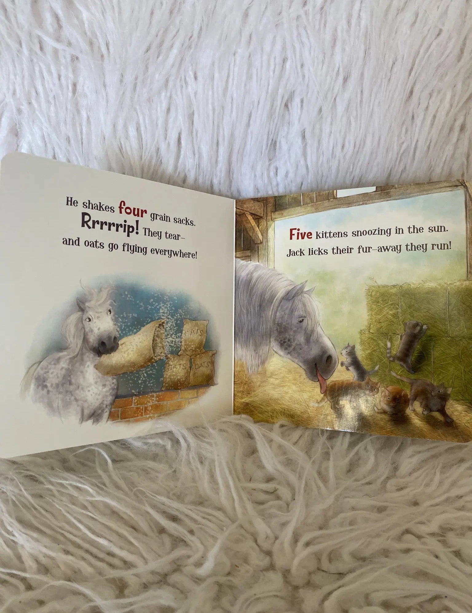 A Horse Named Jack - Bridle Up Hope Shop