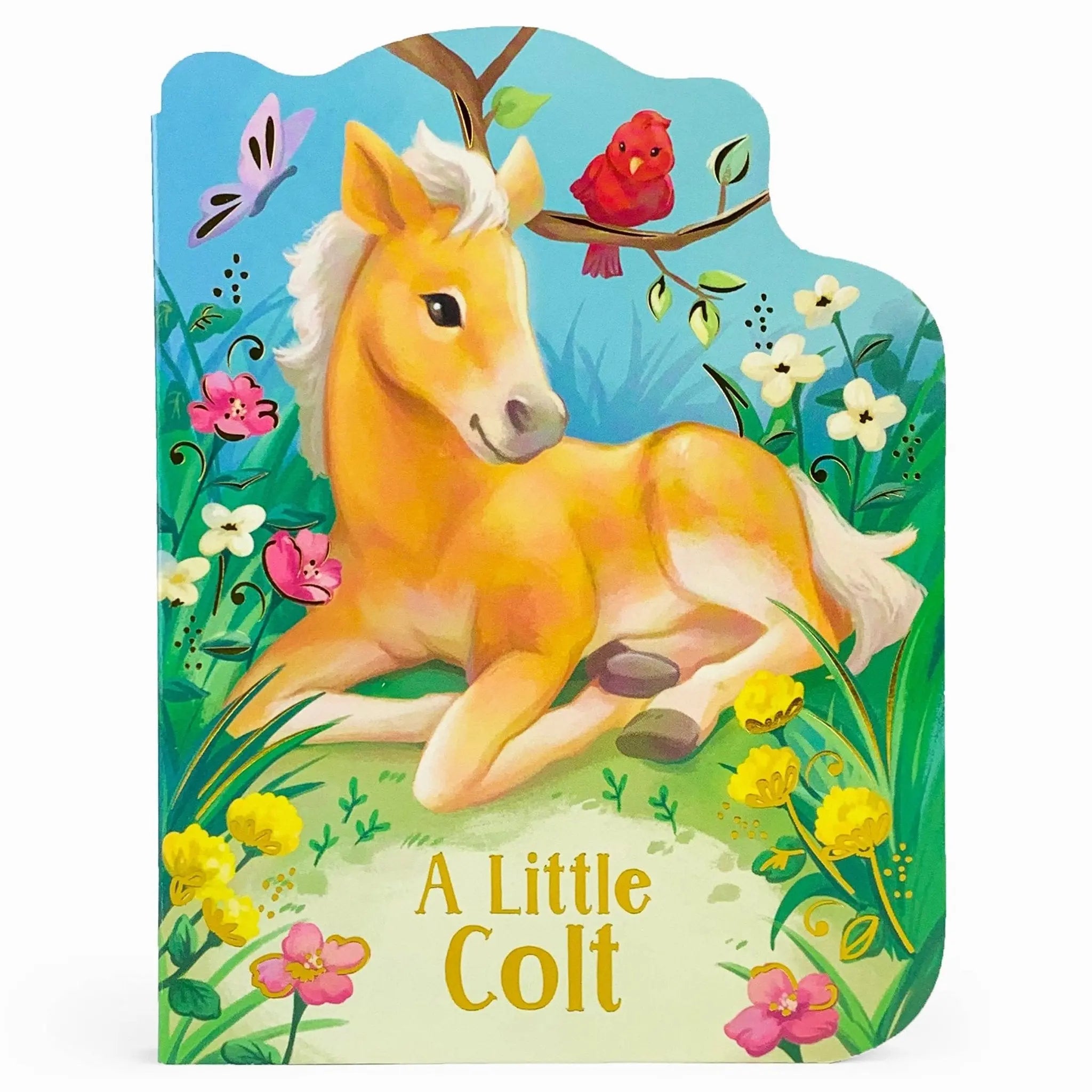 A Little Colt Book - Bridle Up Hope Shop