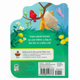 A Little Colt Book - Bridle Up Hope Shop