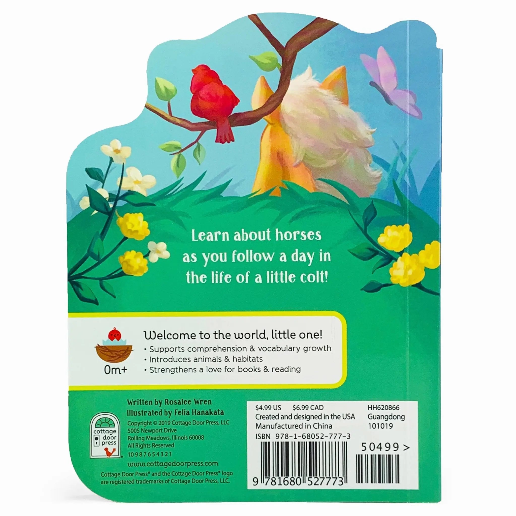 A Little Colt Book - Bridle Up Hope Shop