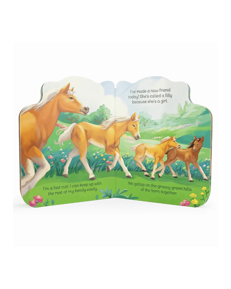 A Little Colt Book - Bridle Up Hope Shop