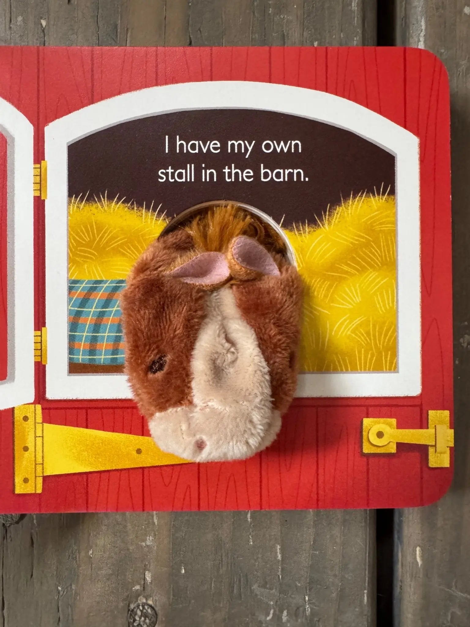 "A Little Horse" Puppet Book - Bridle Up Hope Shop
