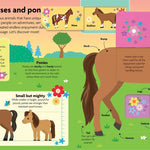 All About Horses & Ponies: Lift - the - Flap Book - Bridle Up Hope Shop