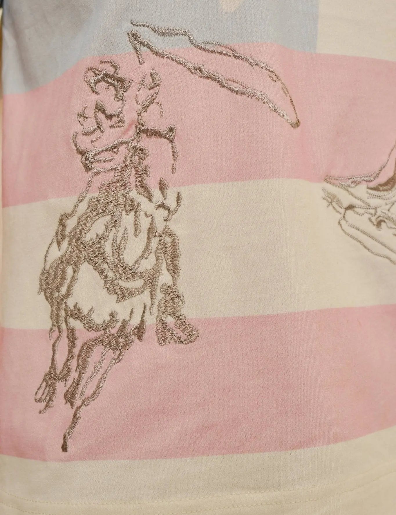 American Cowgirl Embroidered Crewneck Top - Bridle Up Hope Shop