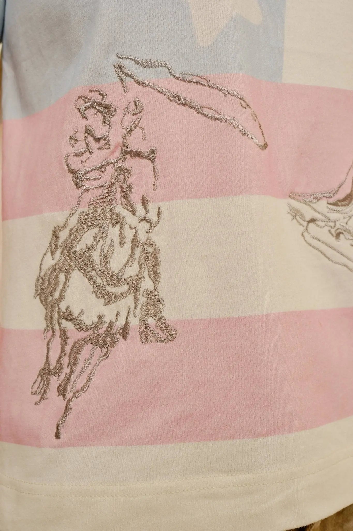 American Cowgirl Embroidered Crewneck Top - Bridle Up Hope Shop