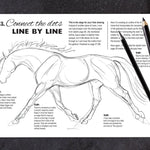 Anyone Can Draw Horses Art Kit - Bridle Up Hope Shop