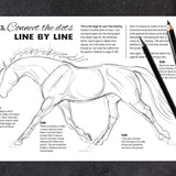 Anyone Can Draw Horses Art Kit - Bridle Up Hope Shop
