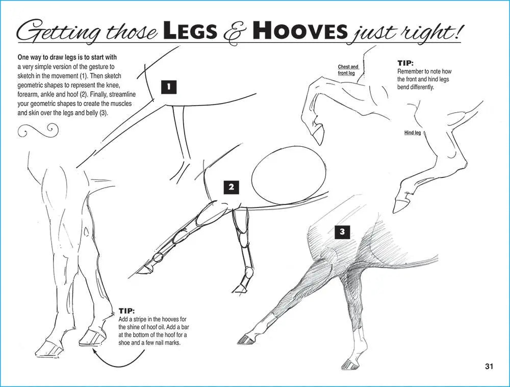 Anyone Can Draw Horses Art Kit - Bridle Up Hope Shop