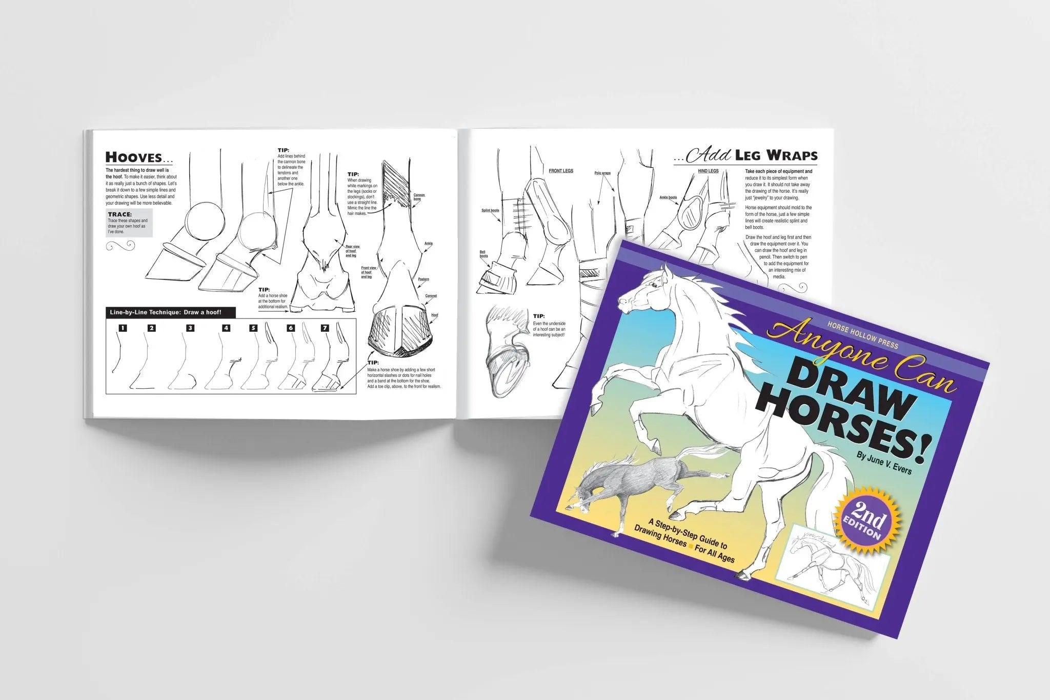 Anyone Can Draw Horses Art Kit - Bridle Up Hope Shop