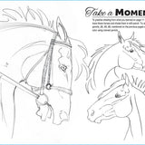 Anyone Can Draw Horses Art Kit - Bridle Up Hope Shop