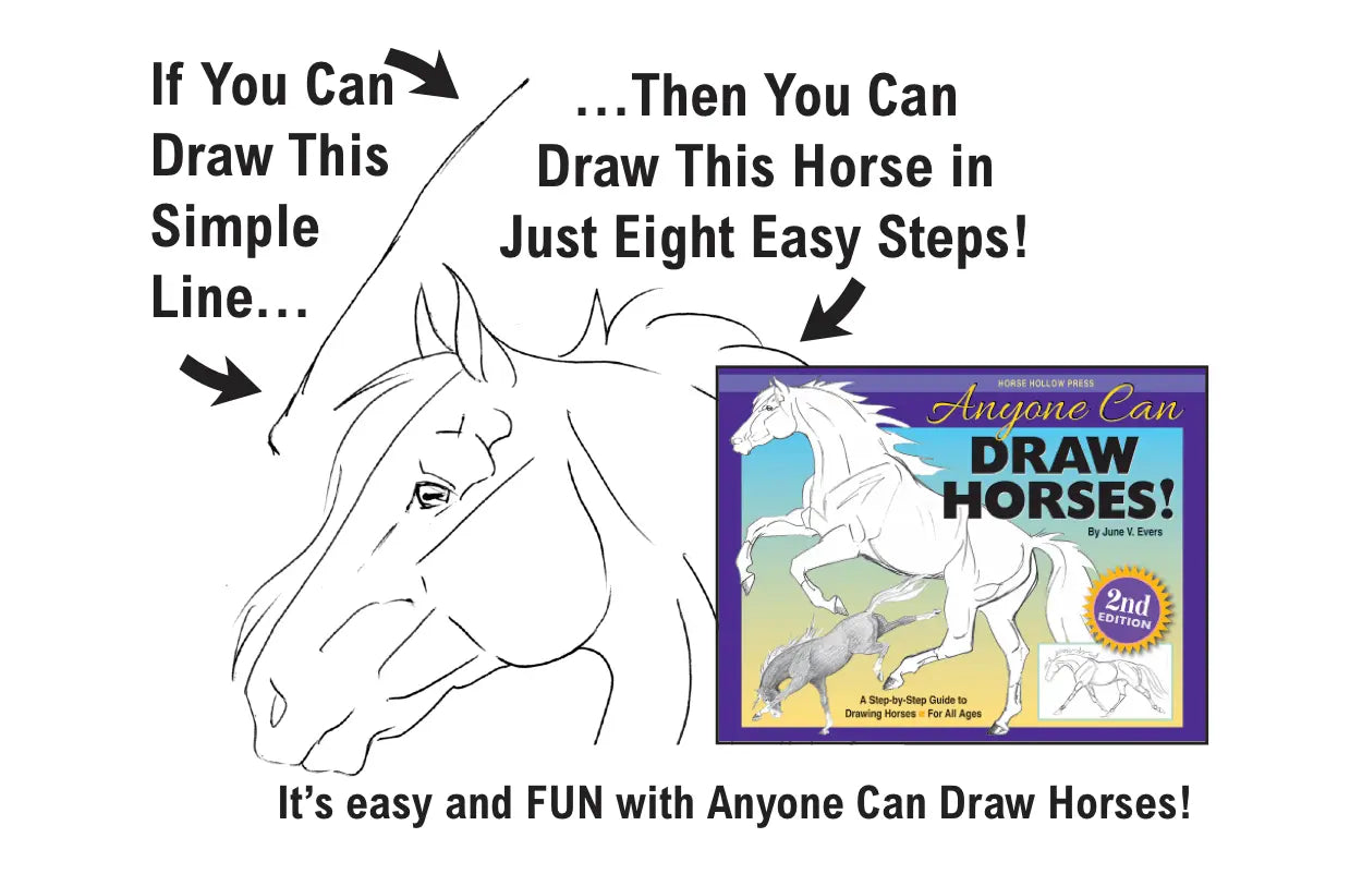 Anyone Can Draw Horses Art Kit - Bridle Up Hope Shop
