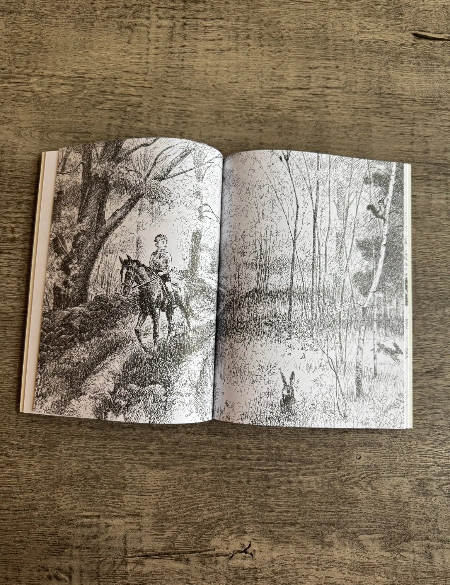 Billy and Blaze - Bridle Up Hope Shop