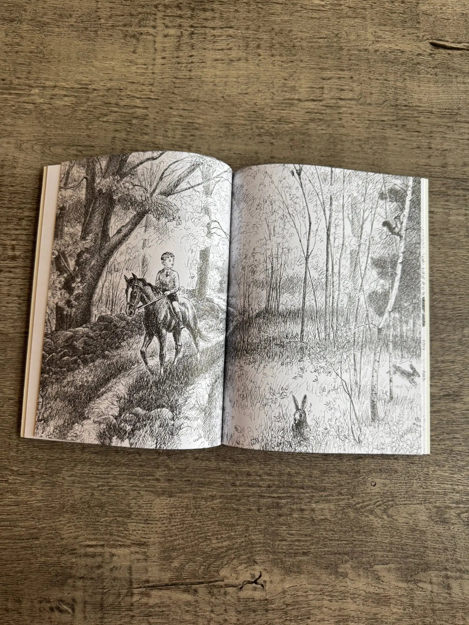 Billy and Blaze - Bridle Up Hope Shop