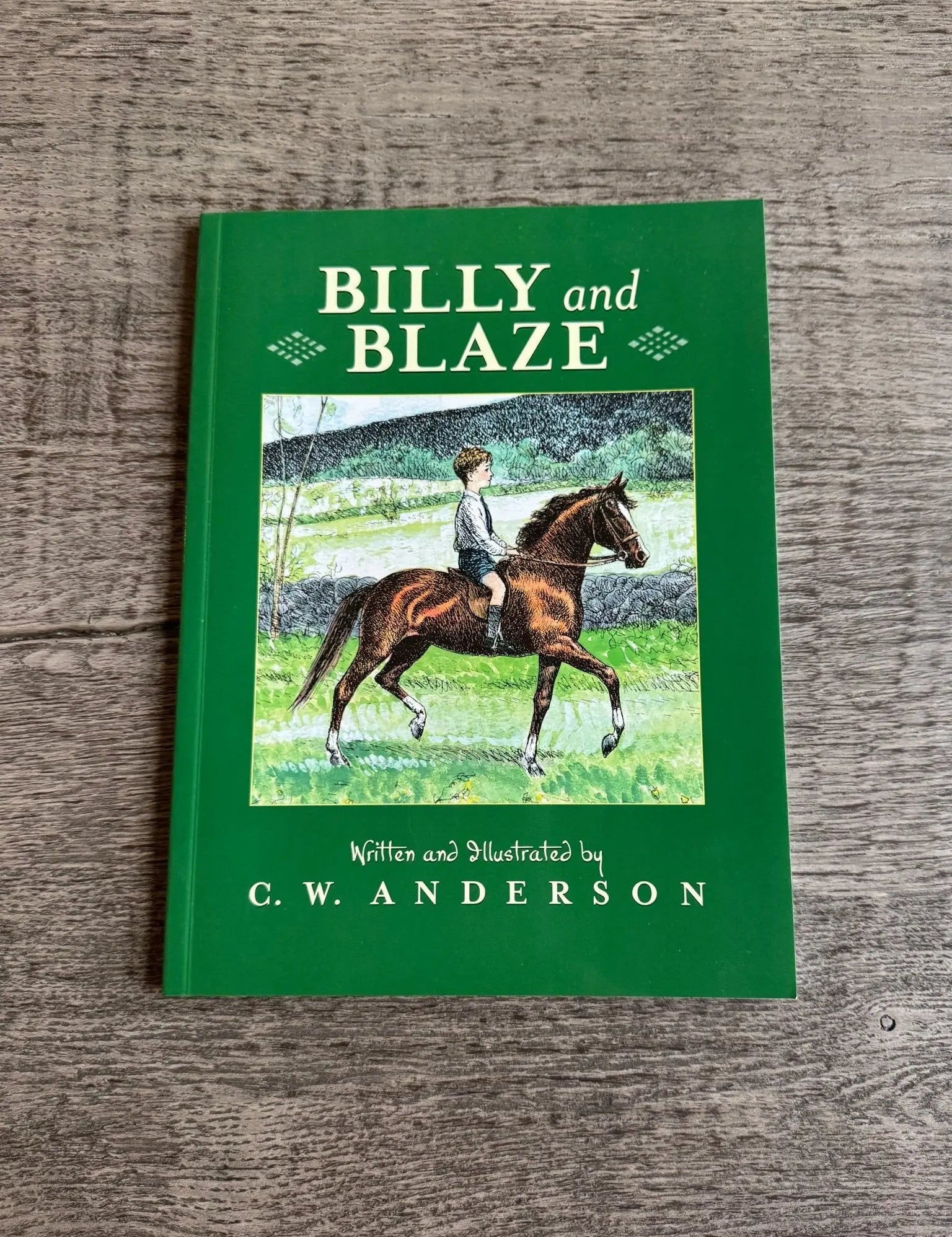 Billy and Blaze - Bridle Up Hope Shop