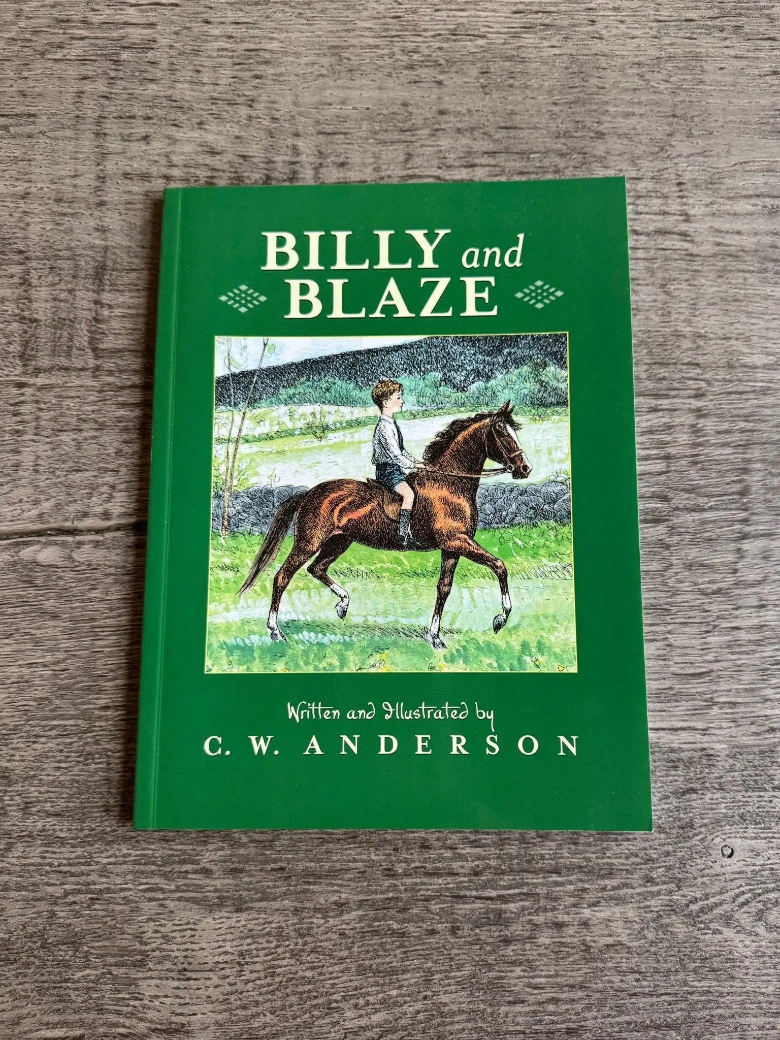 Billy and Blaze - Bridle Up Hope Shop