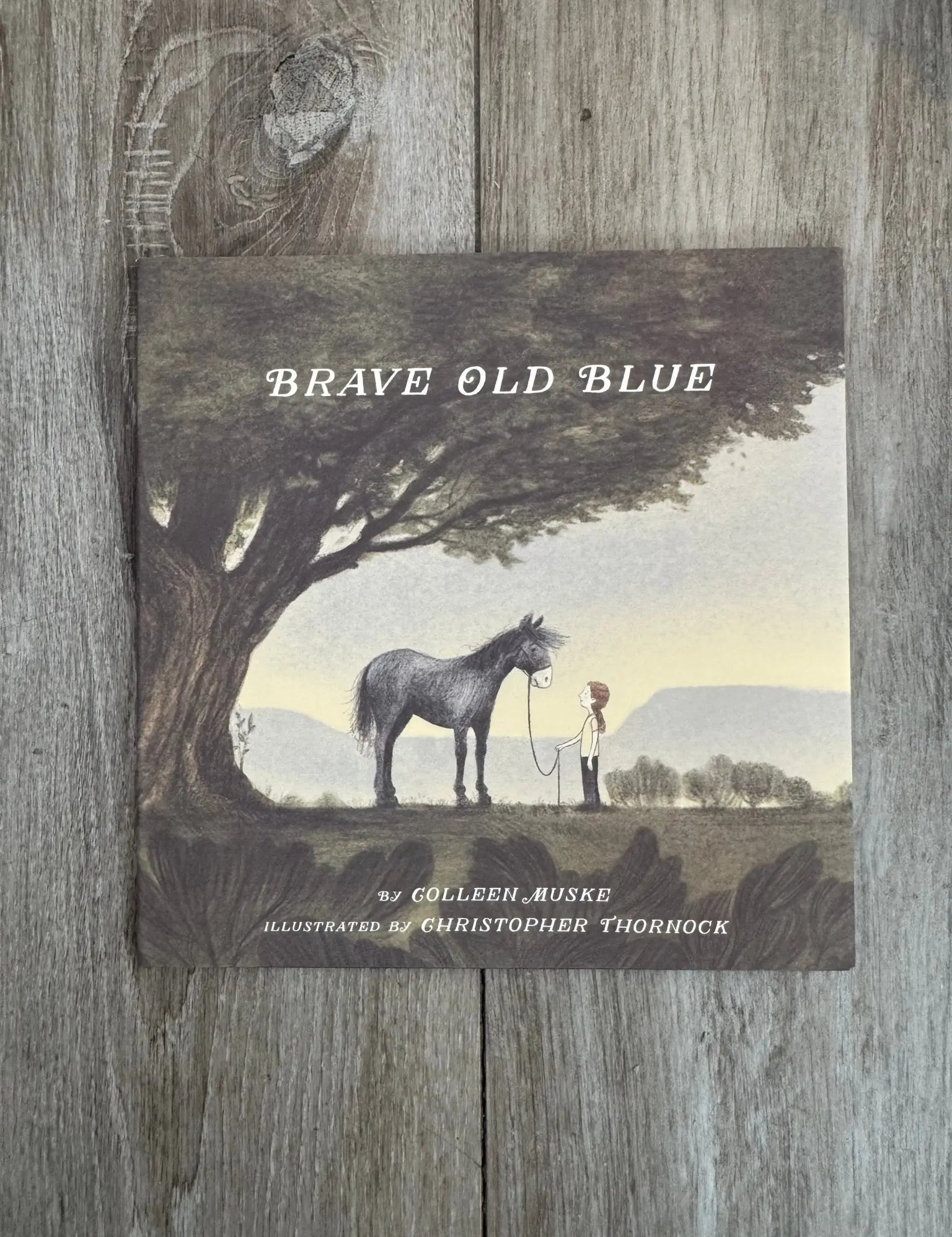 Brave Old Blue: A Horse Rescue Story - Bridle Up Hope Shop