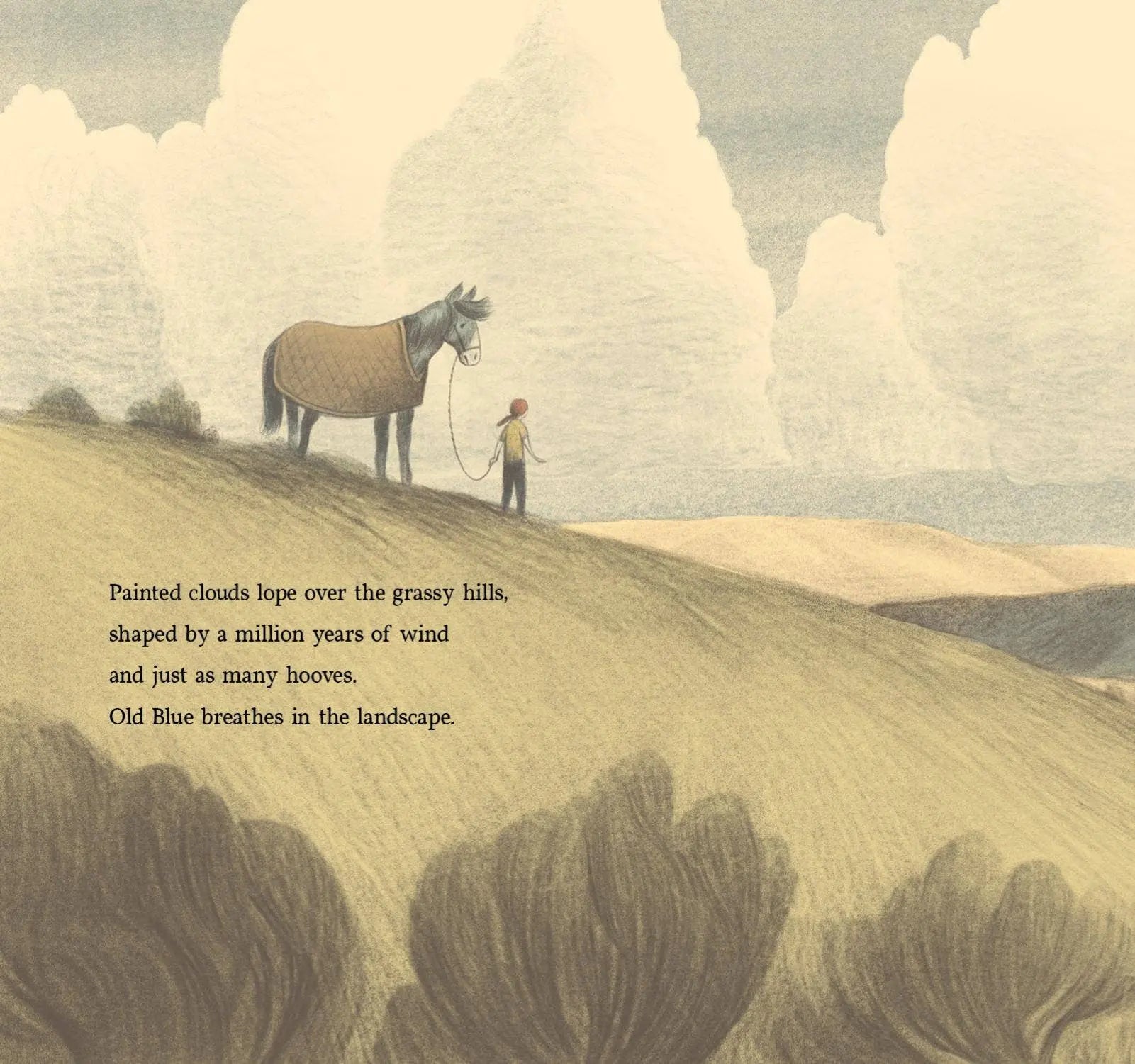 Brave Old Blue: A Horse Rescue Story - Bridle Up Hope Shop