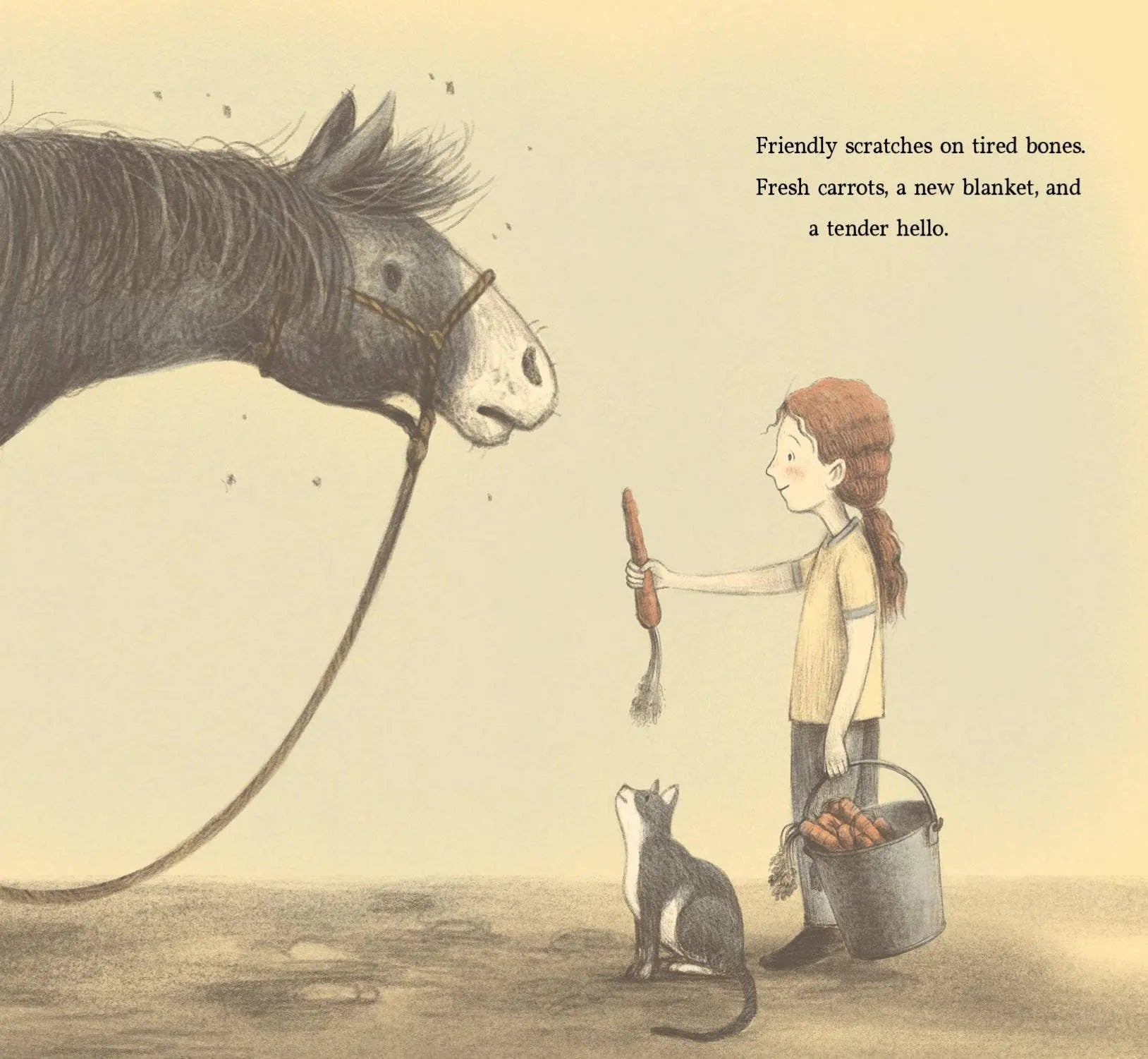 Brave Old Blue: A Horse Rescue Story - Bridle Up Hope Shop