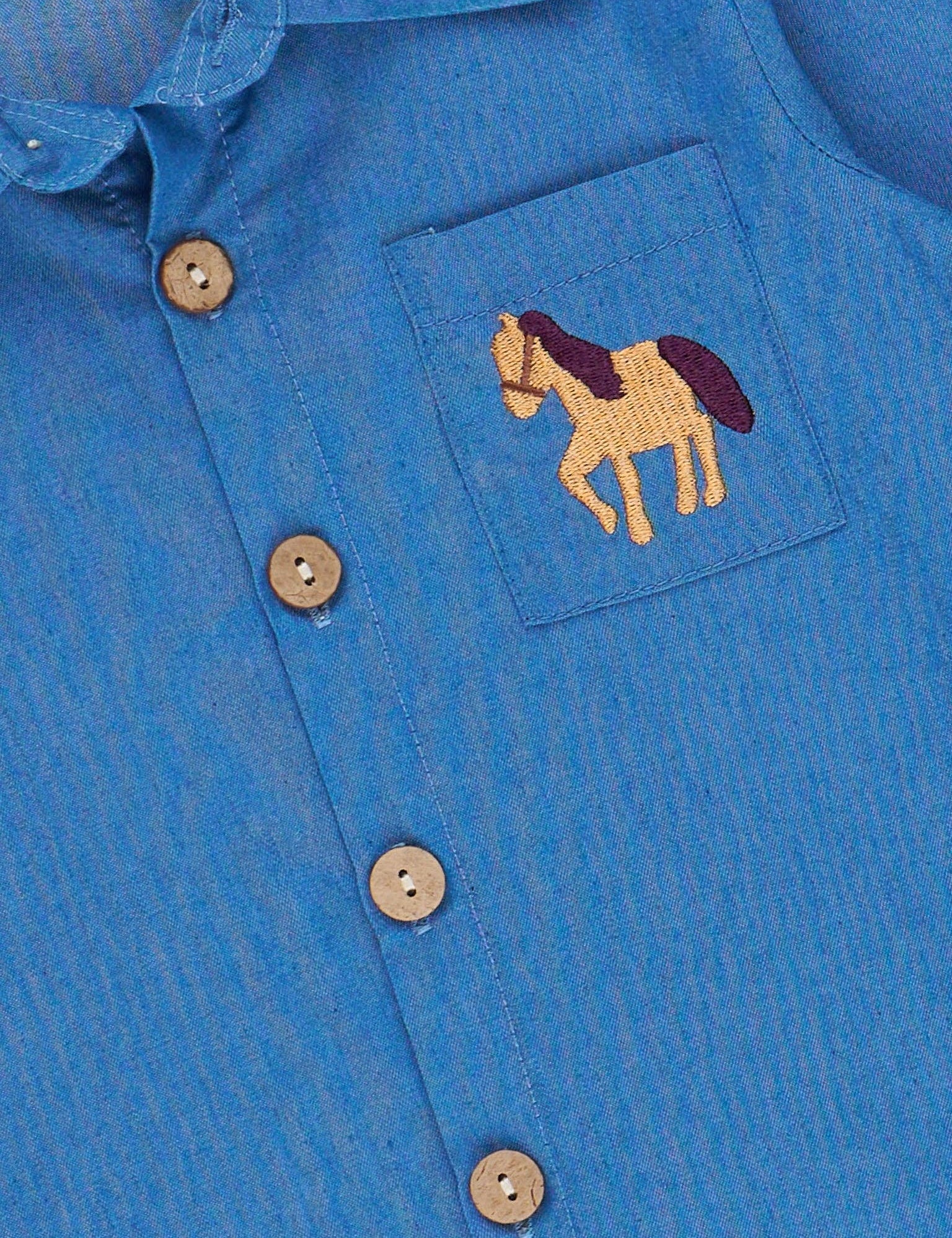 Embroidered Pasture Pony Button Up