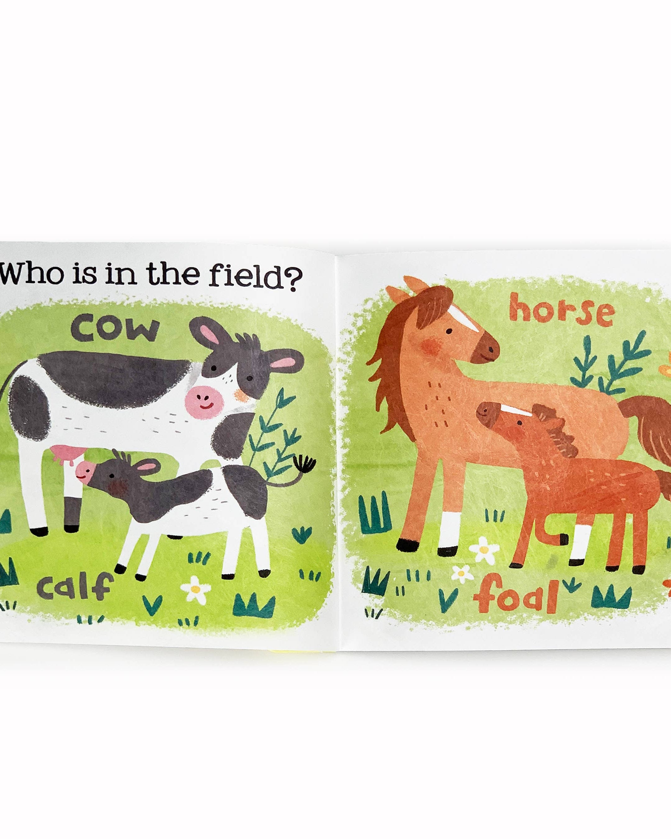 Farm Babies Book & Teether