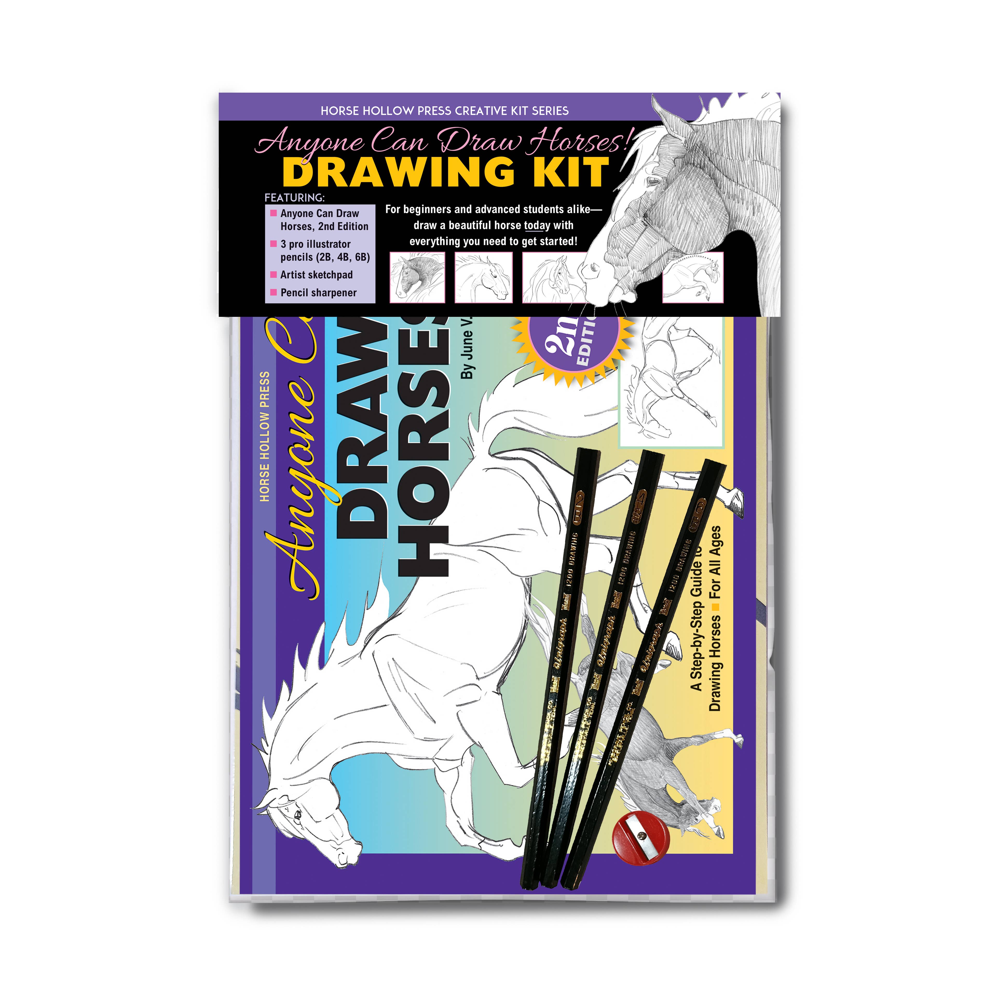 Anyone Can Draw Horses Art Kit