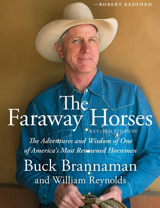 Faraway Horses