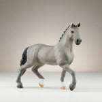 Cheval de Selle Francias Stallion - Bridle Up Hope Shop