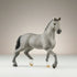 Cheval de Selle Francias Stallion - Bridle Up Hope Shop