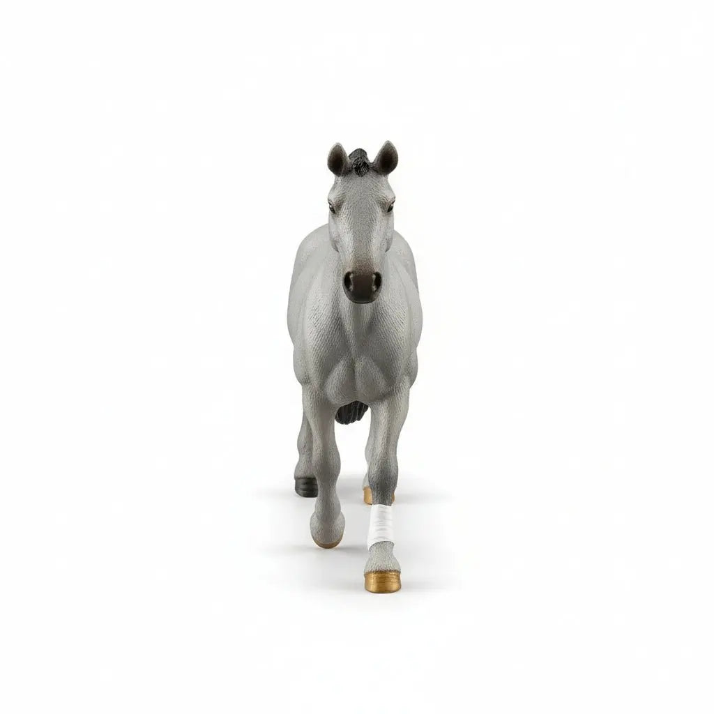Cheval de Selle Francias Stallion - Bridle Up Hope Shop