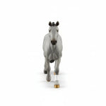 Cheval de Selle Francias Stallion - Bridle Up Hope Shop