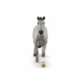 Cheval de Selle Francias Stallion - Bridle Up Hope Shop