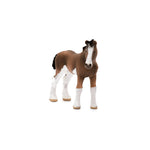 Clydesdale Foal - Bridle Up Hope Shop
