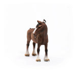 Clydesdale Gelding - Bridle Up Hope Shop
