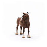 Clydesdale Gelding - Bridle Up Hope Shop