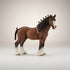 Clydesdale Gelding - Bridle Up Hope Shop