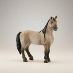 Criollo Mare - Bridle Up Hope Shop