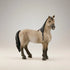 Criollo Mare - Bridle Up Hope Shop