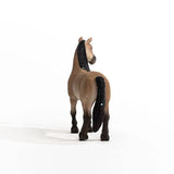 Criollo Mare - Bridle Up Hope Shop
