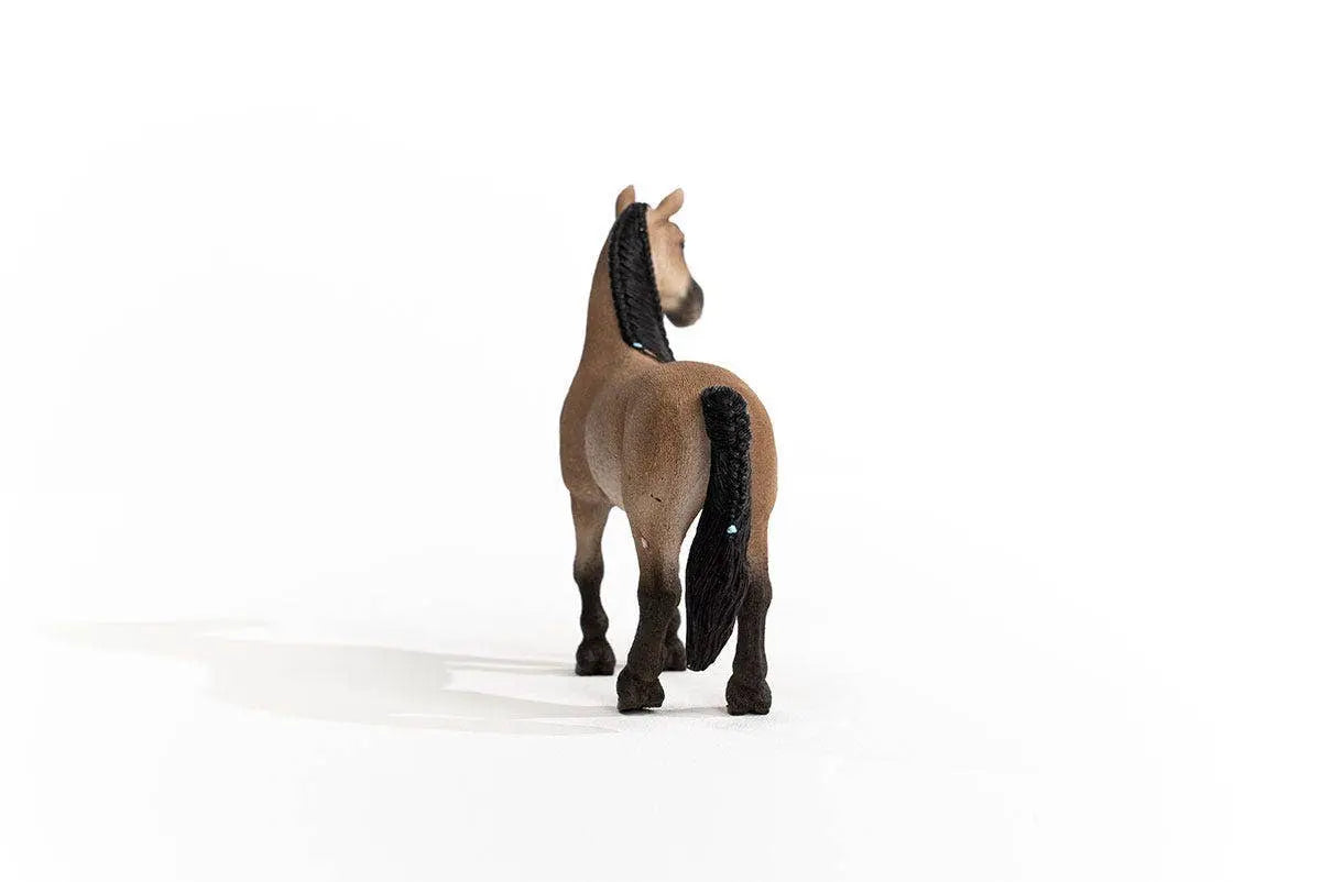 Criollo Mare - Bridle Up Hope Shop
