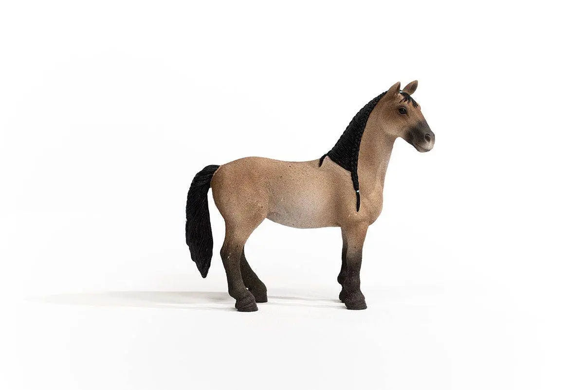 Criollo Mare - Bridle Up Hope Shop