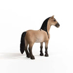 Criollo Mare - Bridle Up Hope Shop