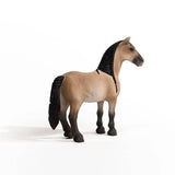 Criollo Mare - Bridle Up Hope Shop