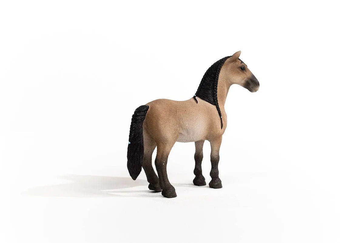 Criollo Mare - Bridle Up Hope Shop