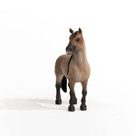 Criollo Mare - Bridle Up Hope Shop