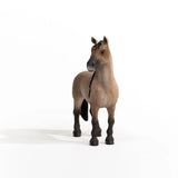 Criollo Mare - Bridle Up Hope Shop