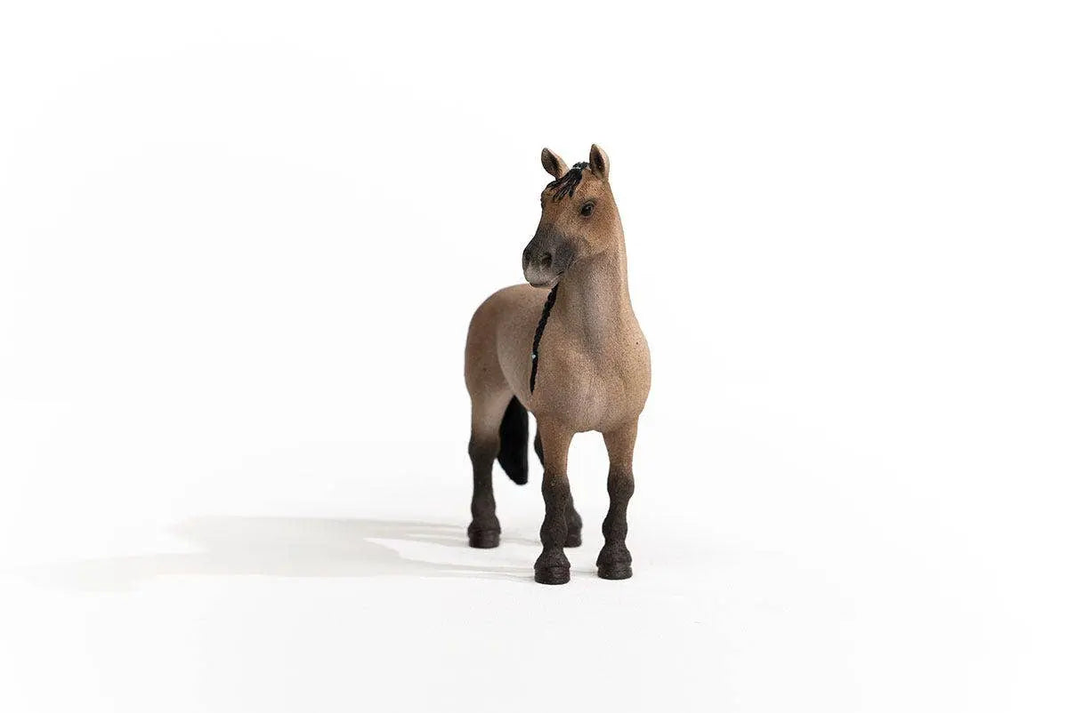 Criollo Mare - Bridle Up Hope Shop
