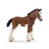 clydesdale foal