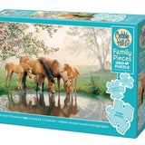 horse family puzzle (350pc)